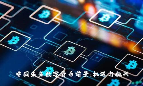 中國未來數(shù)字貨幣前景:機(jī)遇與挑戰(zhàn)