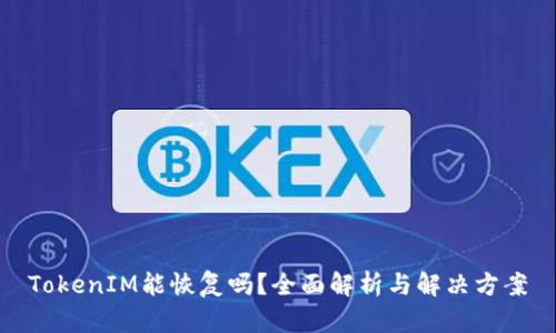TokenIM能恢復(fù)嗎？全面解析與解決方案