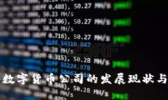 中國(guó)網(wǎng)絡(luò)數(shù)字貨幣公司的