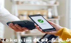 如何通過(guò)Tokenim找回丟失的