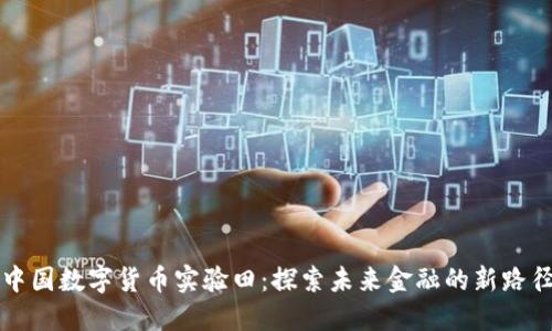 中國數(shù)字貨幣實驗田：探索未來金融的新路徑