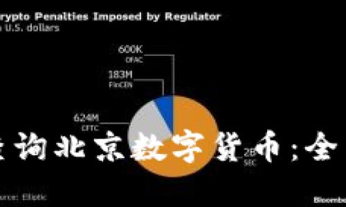 如何查詢北京數(shù)字貨幣:全面指南