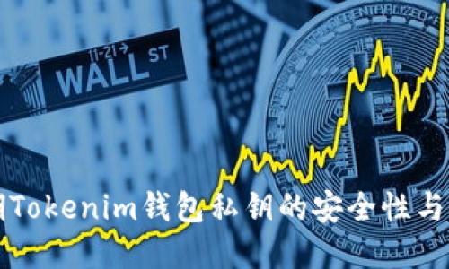 早期Tokenim錢包私鑰的安全性與管理