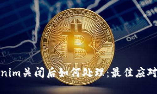 Tokenim關(guān)閉后如何處理：最佳應(yīng)對策略