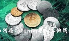 如何將Tokenim導入其他錢包