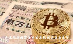 山東濰坊數(shù)字貨幣發(fā)展現(xiàn)