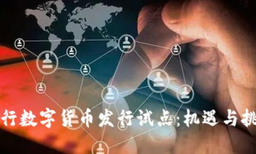 央行數(shù)字貨幣發(fā)行試點(diǎn)：機(jī)遇與挑戰(zhàn)