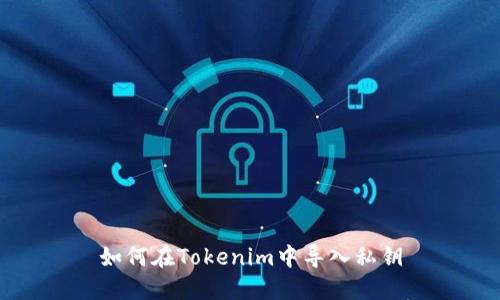 如何在Tokenim中導(dǎo)入私鑰