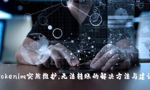 Tokenim突然維護(hù)，無法轉(zhuǎn)賬的解決方法與建議