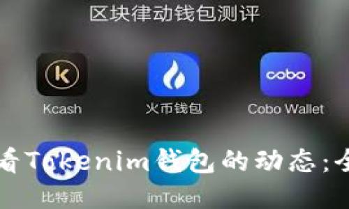 如何查看Tokenim錢包的動(dòng)態(tài):全面指南